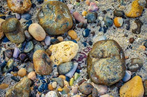 Pebbles on the beach Fotos Stock