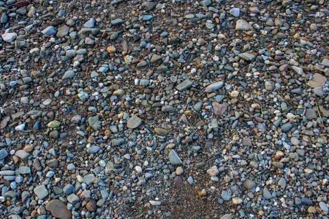 Pebbles on the beach Foto stock