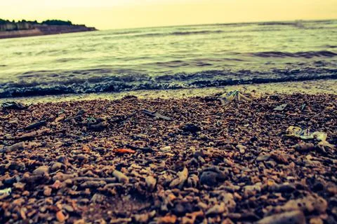 Pebbles on the beach Stock Photos