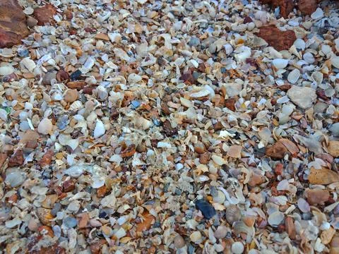 Pebbles on the beach Stock Photos