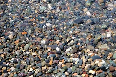 Pebbles on the beach Stock Photos