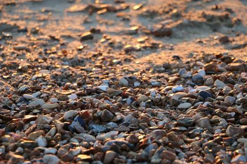 Pebbles on the Beach Stock Photos