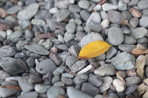 Pebbles on the Beach with shallow depth-of-field Stock Photos