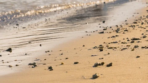 Pebbles on the beach with waves in background Stock Footage 94106574
