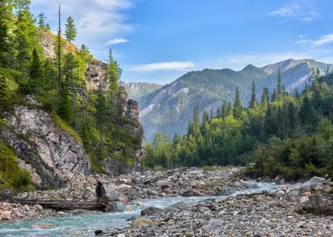 Pebbles in bed of mountain stream Stock Photos