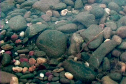 Pebbles Below the Surface Stock Footage 264149
