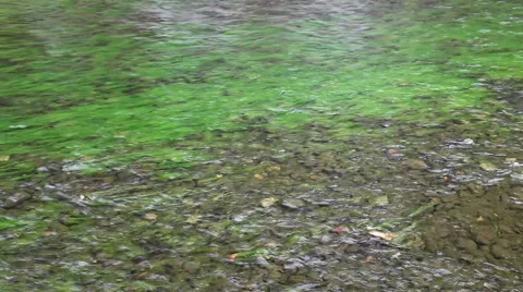 Pebbles on the bottom of the river Stock Footage 48815863