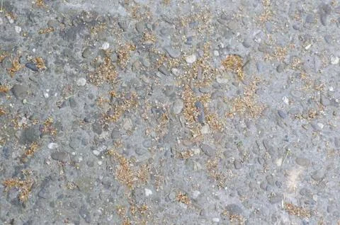 Pebbles Cement Wall Texture Stock Photos