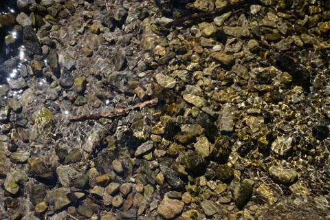 Pebbles in clear stream, background image Stock Photos