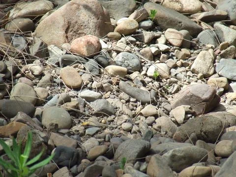 Pebbles close up Stock Photos