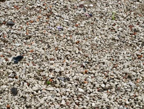 Pebbles With Debris. Detailed View Of Tiny Sandcolored Stones Mixed With Pl.. Stock Photos