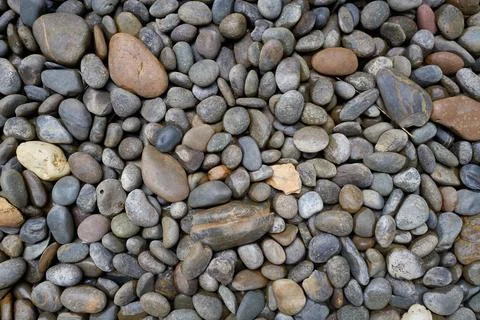 Pebbles on the ground 스톡 사진