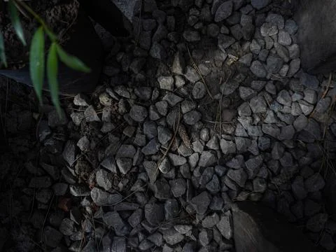 Pebbles on the ground Stock Photos