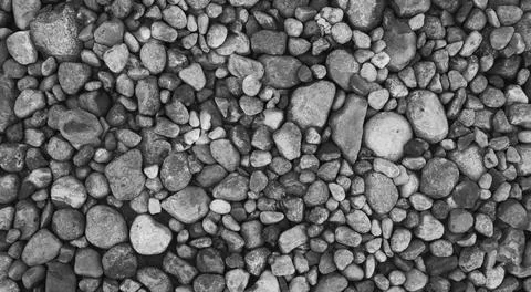 Pebbles lying on the beach Stock Photos