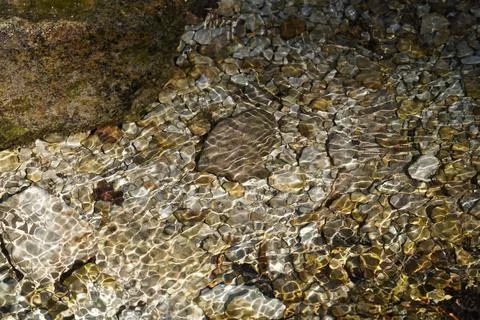 Pebbles in a mountain river Stock Photos