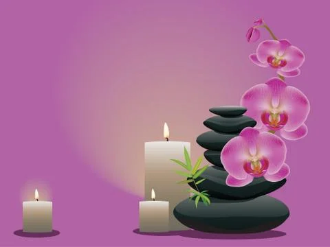 Pebbles with orchid 스톡 일러스트