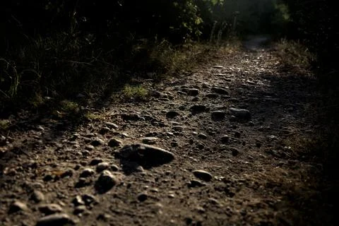 Pebbles on a path at sunset seen up close Stock Photos