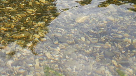 Pebbles on the river bed Stock Footage 123544391
