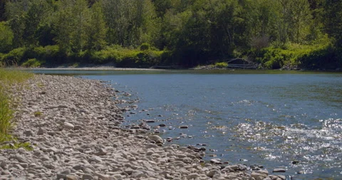 Pebbles by the river  / Focus on forest Stock Footage 130921771