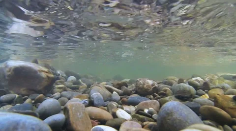 Pebbles In The River Iller (Underwater) Stock Footage 39884901