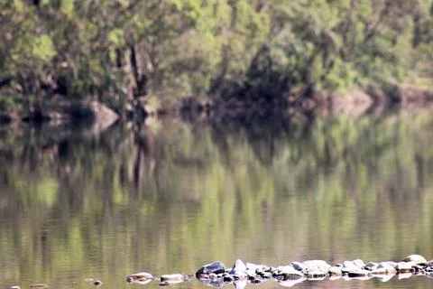 Pebbles in river lake Stock Photos
