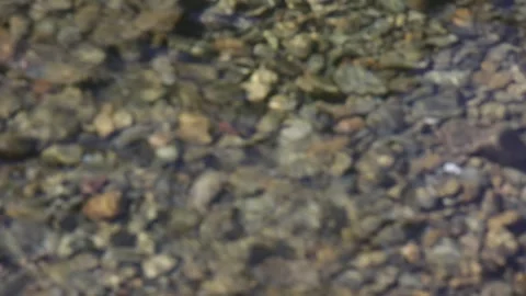 Pebbles in a RIVER with WATER Flowing Gently, (HD 24p) Stock Footage 272192505