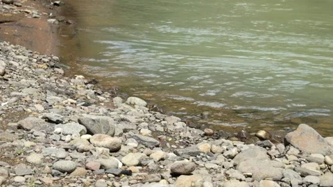 Pebbles on the riverbank Video stock 336878033