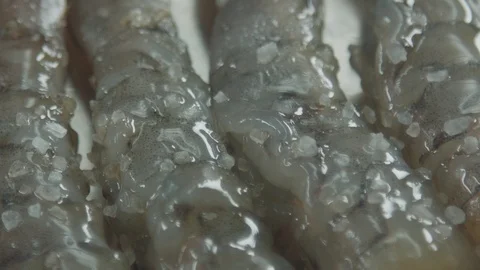 Pebbles of salt are falling on the raw prawns Stock Footage 92017398