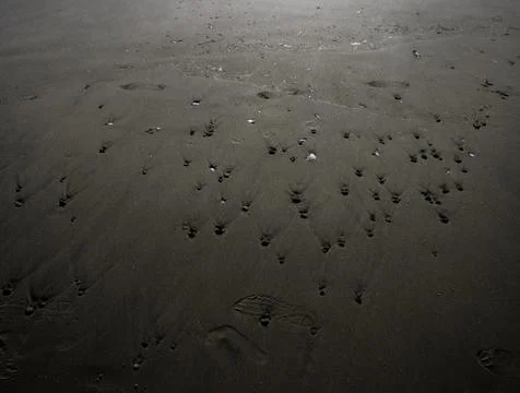 Pebbles in sand Stock Photos