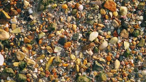 Pebbles shells background. Summer conception. Oman 스톡 사진