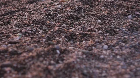 Pebbles on the shore Stock Footage 8547520