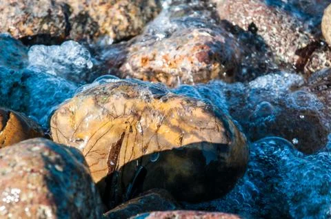Pebbles in the shore Stock Photos