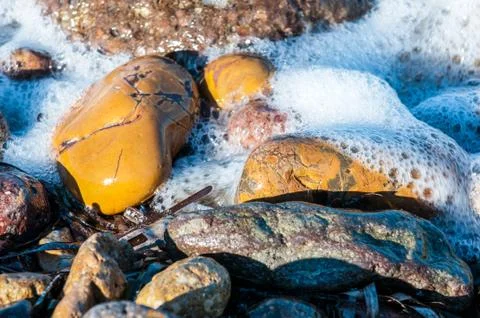 Pebbles in the shore Stock Photos