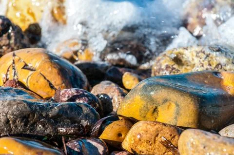 Pebbles in the shore Stock Photos