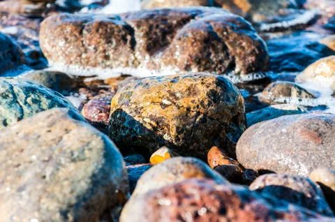 Pebbles in the shore Stock Photos