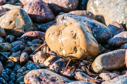 Pebbles in the shore Stock Photos