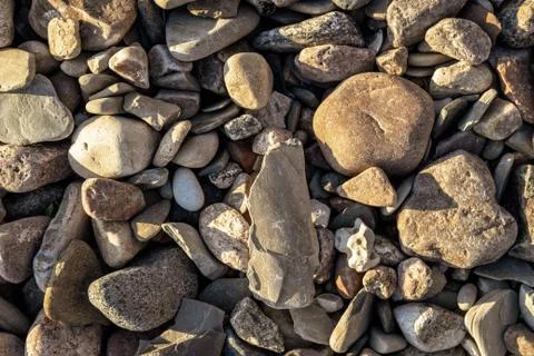 Pebbles on the shore 写真素材