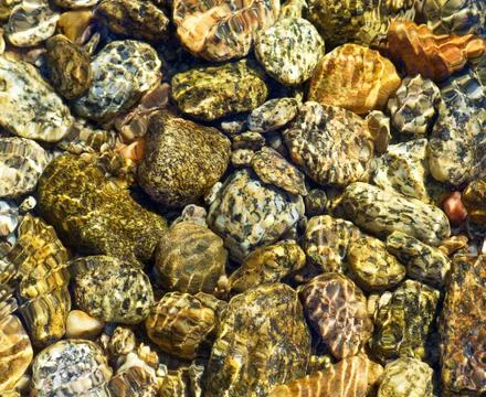 Pebbles in stream Stock Photos