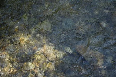 Pebbles in stream Stock Photos