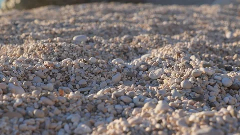 Pebbles on a summer beach Stock Footage 204123689