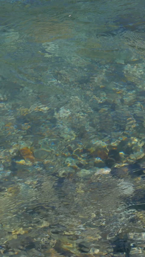 Pebbles Under Clear Shallow River Water Vertical Video Stock-Footage 346000919
