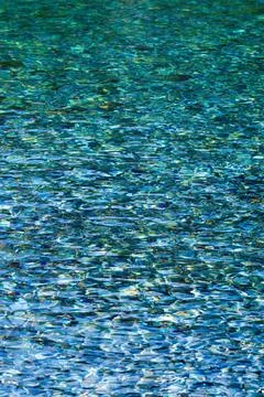 Pebbles under water Stock Photos