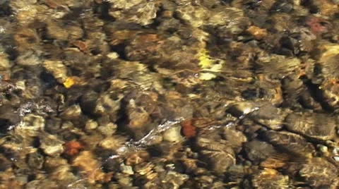 Pebbles in the water 스톡 동영상 8950454