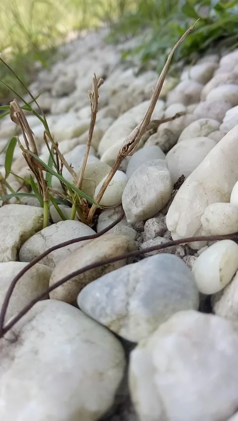 Pebbles in the yard. Stock-Footage 196670511