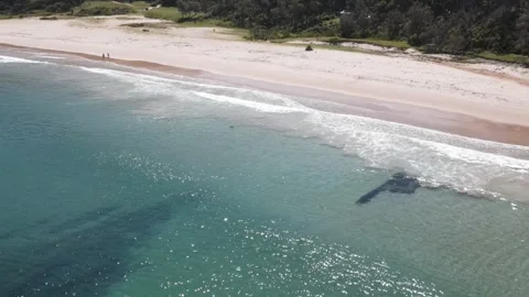 Pebbly Beach, NSW Stock Footage 266653093