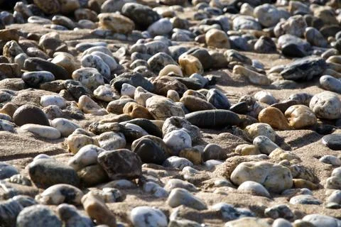 Pebbly Beach Stock Photos