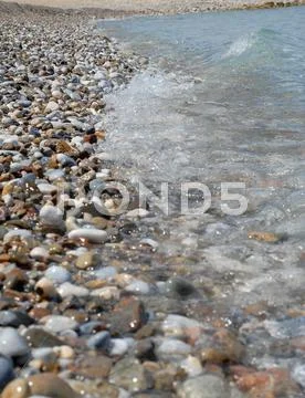 Pebbly shore of red sea Stock Photos