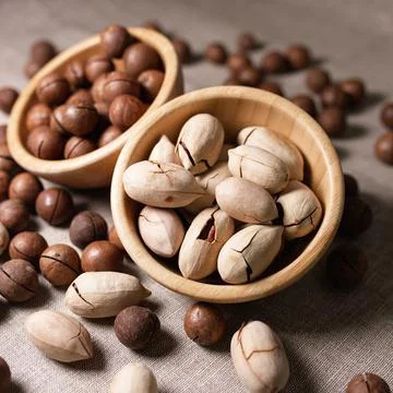 Pecan and macadamia nuts in shell Stock Photos