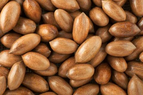 Pecan background Stock Photos