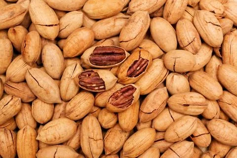 Pecan background textue Stock Photos